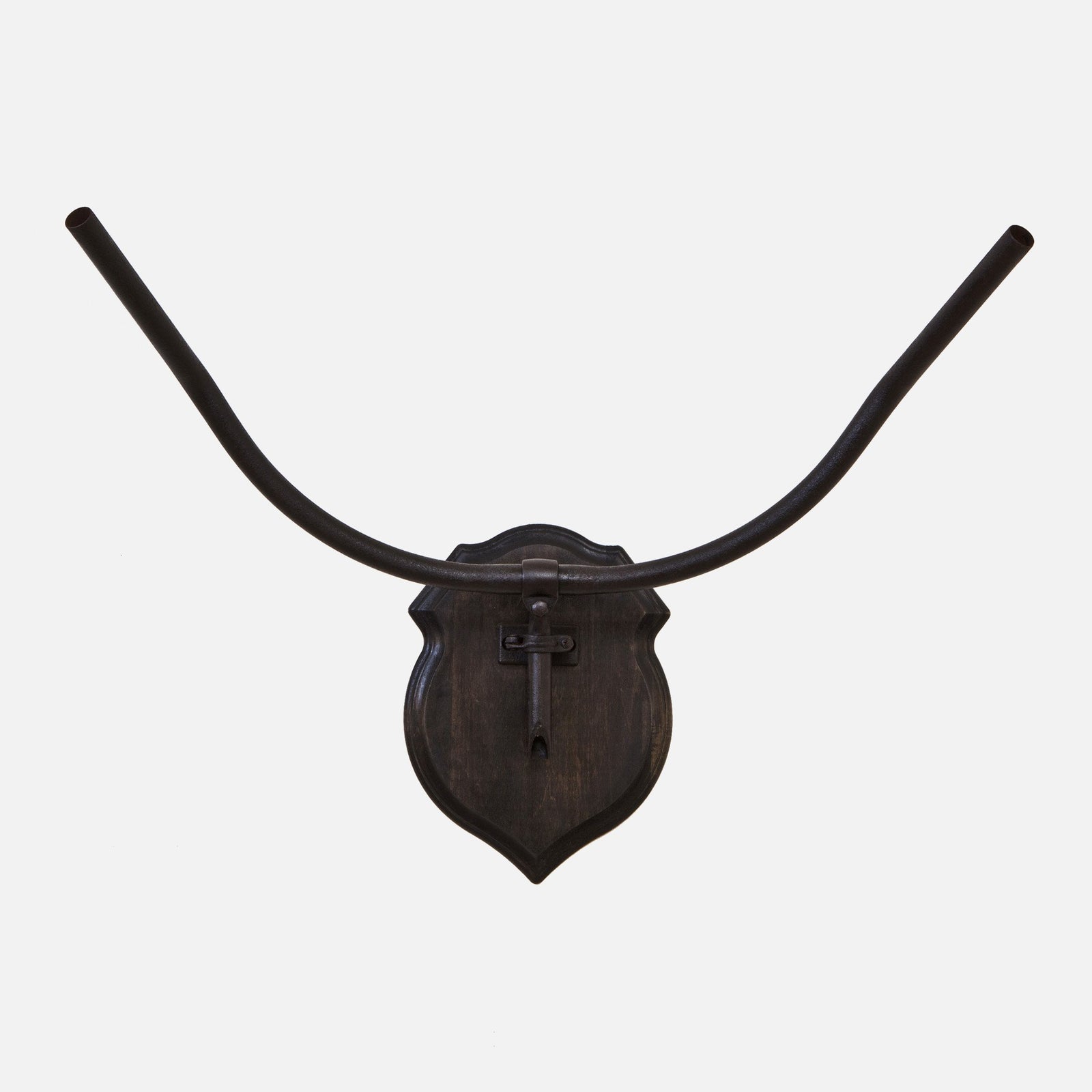 Cruiser Bicycle Taxidermy